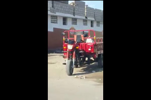 Chapiadora De Santo Domingo Buscando Su Dinero